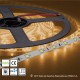 Tiras LED M35 Blanco Cálido 60 LED por Metro IP20 Interior